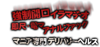 強制開口 イラマチオ 即尺電マ アナルファック マニア専門デリバリーヘルス