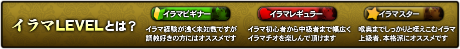 イラマLEVELとは