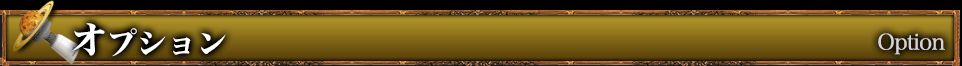 オプション