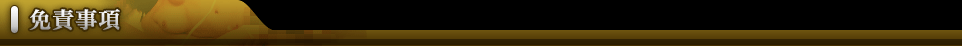 免責事項