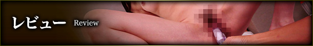 レビュー