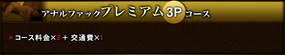 アナルファックプレミアム3Pコース