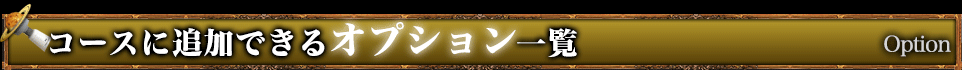 コースに追加できるオプション一覧