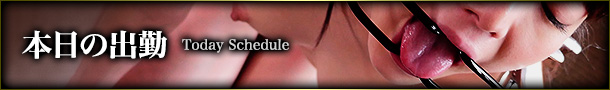本日のスケジュール